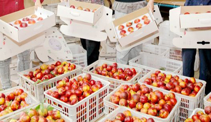 守住“农田姓农”底线，宿迁泗阳绘就乡村振兴新画卷