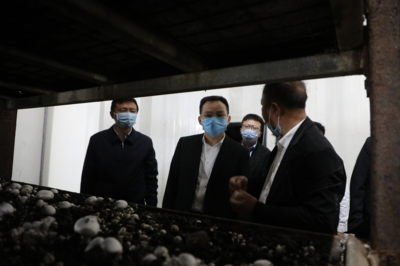 东安农产品“带码上市” 为食用安全构筑坚实防线