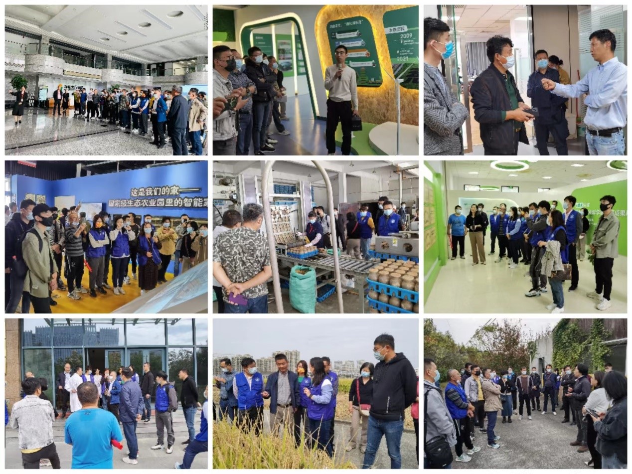 筑牢食品安全防线 近期食用农产品监管工作动态