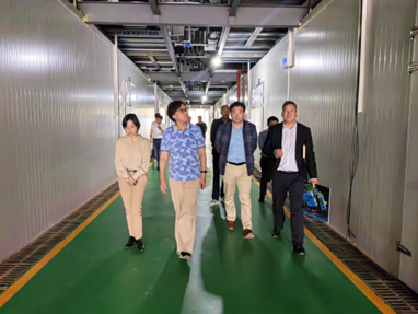 聚焦产业前沿，赋能乡村振兴 国家食用菌产业技术体系首席科学家谭琦研究员一行赴崇明区调研食用菌产业发展