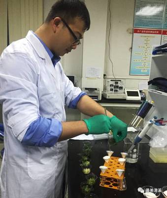 守护舌尖安全 清溪食药监分局今年完成270批次食品药品抽（快）检，筑牢农产品安全防线