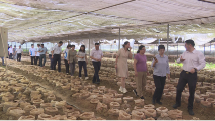 寻乌之行 专家组调研食用农产品产业发展新路径